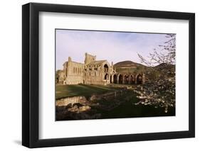 Melrose Abbey, Borders, Scotland, United Kingdom-Charles Bowman-Framed Photographic Print