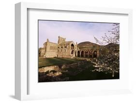 Melrose Abbey, Borders, Scotland, United Kingdom-Charles Bowman-Framed Photographic Print