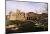 Melrose Abbey, Borders, Scotland, United Kingdom-Charles Bowman-Mounted Photographic Print