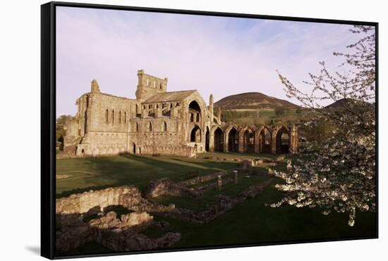 Melrose Abbey, Borders, Scotland, United Kingdom-Charles Bowman-Framed Stretched Canvas