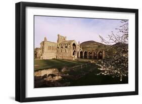 Melrose Abbey, Borders, Scotland, United Kingdom-Charles Bowman-Framed Photographic Print