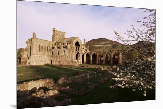 Melrose Abbey, Borders, Scotland, United Kingdom-Charles Bowman-Mounted Premium Photographic Print