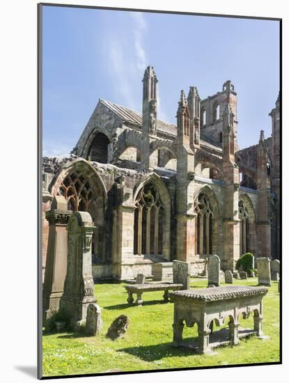 Melrose Abbey in the Scottish Borders.-Martin Zwick-Mounted Photographic Print