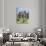 Melrose Abbey in the Scottish Borders.-Martin Zwick-Photographic Print displayed on a wall