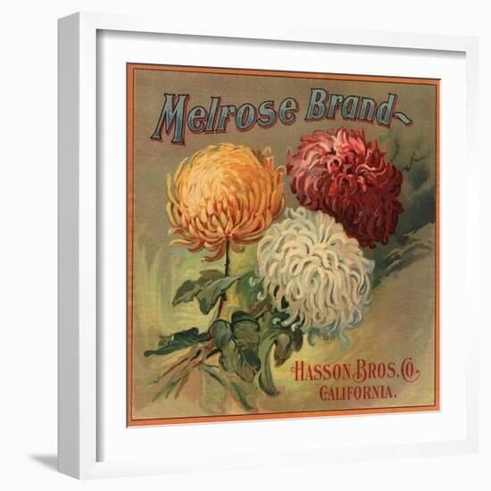 Melrose Brand - California - Citrus Crate Label-Lantern Press-Framed Art Print