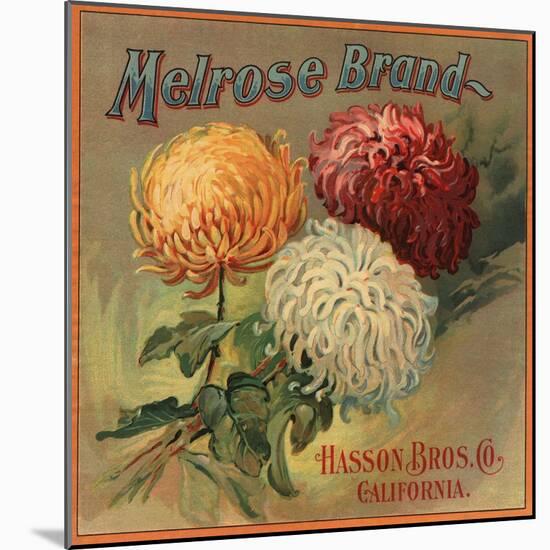 Melrose Brand - California - Citrus Crate Label-Lantern Press-Mounted Art Print