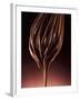 Melted Chocolate Running from a Whisk-Armin Zogbaum-Framed Photographic Print