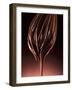 Melted Chocolate Running from a Whisk-Armin Zogbaum-Framed Photographic Print