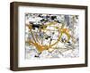 Melting Colors and Gold II-Gina Ritter-Framed Art Print