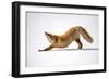 Melting Heart (Anahatasana)-Q Liu-Framed Giclee Print