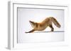 Melting Heart (Anahatasana)-Q Liu-Framed Giclee Print