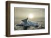 Melting Iceberg, Hudson Bay, Nunavut, Canada-Paul Souders-Framed Photographic Print