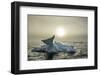 Melting Iceberg, Hudson Bay, Nunavut, Canada-Paul Souders-Framed Photographic Print