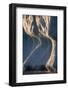 Melting Iceberg in Disko Bay in Greenland-Paul Souders-Framed Photographic Print