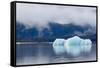 Melting Iceberg in Mendenhall Lake-fmcginn-Framed Stretched Canvas