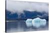 Melting Iceberg in Mendenhall Lake-fmcginn-Stretched Canvas