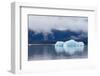 Melting Iceberg in Mendenhall Lake-fmcginn-Framed Photographic Print