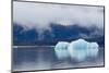 Melting Iceberg in Mendenhall Lake-fmcginn-Mounted Photographic Print