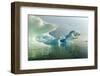 Melting Icebergs, Hudson Bay, Canada-Paul Souders-Framed Photographic Print