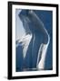 Melting Icebergs in Ililussat-null-Framed Photographic Print