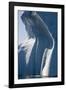 Melting Icebergs in Ililussat-null-Framed Photographic Print