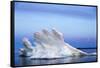 Melting Sea Ice, Repulse Bay, Nunavut Territory, Canada-Paul Souders-Framed Stretched Canvas