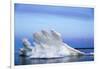 Melting Sea Ice, Repulse Bay, Nunavut Territory, Canada-Paul Souders-Framed Photographic Print