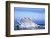 Melting Sea Ice, Repulse Bay, Nunavut Territory, Canada-Paul Souders-Framed Photographic Print