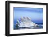 Melting Sea Ice, Repulse Bay, Nunavut Territory, Canada-Paul Souders-Framed Photographic Print