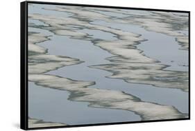 Melting Sea Ice-DLILLC-Framed Stretched Canvas