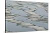 Melting Sea Ice-DLILLC-Stretched Canvas