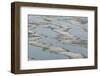 Melting Sea Ice-DLILLC-Framed Photographic Print