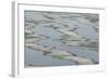 Melting Sea Ice-DLILLC-Framed Photographic Print