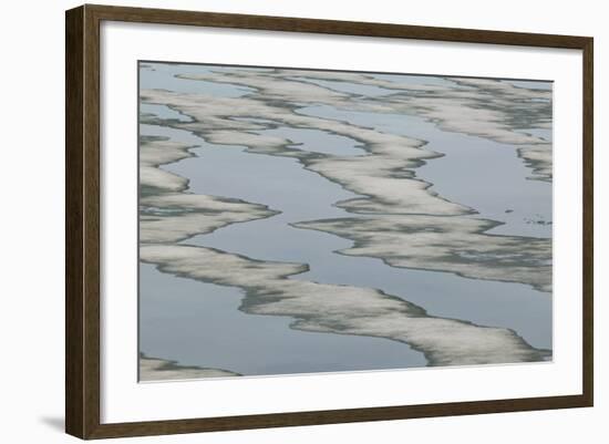 Melting Sea Ice-DLILLC-Framed Photographic Print