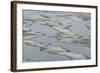 Melting Sea Ice-DLILLC-Framed Photographic Print