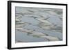 Melting Sea Ice-DLILLC-Framed Photographic Print