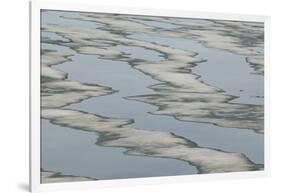 Melting Sea Ice-DLILLC-Framed Photographic Print