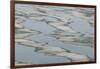 Melting Sea Ice-DLILLC-Framed Photographic Print