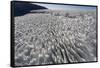 Melting Snowfield in Crater on Mount Kilimanjaro-Paul Souders-Framed Stretched Canvas