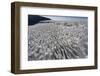 Melting Snowfield in Crater on Mount Kilimanjaro-Paul Souders-Framed Photographic Print