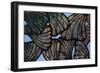 Melusine-Tyson Estes-Framed Giclee Print