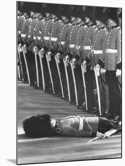 Member of Honor Guard Lying on the Ground After Fainting During Ceremonies For Queen Elizabeth-John Loengard-Mounted Photographic Print