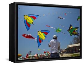 Member of Indonesia Kite Team Flies Kite with Series of Colorful Bird Sales, Vung Tau City, Vietnam-null-Framed Stretched Canvas