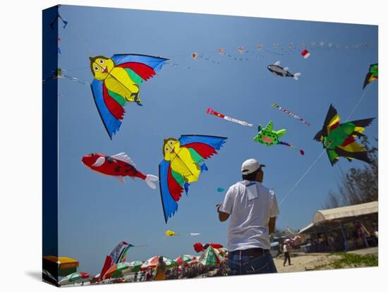 Member of Indonesia Kite Team Flies Kite with Series of Colorful Bird Sales, Vung Tau City, Vietnam-null-Stretched Canvas