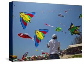 Member of Indonesia Kite Team Flies Kite with Series of Colorful Bird Sales, Vung Tau City, Vietnam-null-Stretched Canvas