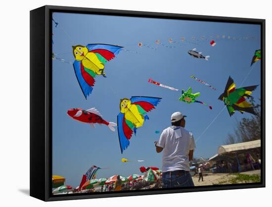 Member of Indonesia Kite Team Flies Kite with Series of Colorful Bird Sales, Vung Tau City, Vietnam-null-Framed Stretched Canvas