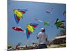 Member of Indonesia Kite Team Flies Kite with Series of Colorful Bird Sales, Vung Tau City, Vietnam-null-Mounted Photographic Print