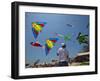 Member of Indonesia Kite Team Flies Kite with Series of Colorful Bird Sales, Vung Tau City, Vietnam-null-Framed Photographic Print