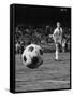 Member of the Chicago Spurs Watching as the Ball Is Coming His Way During the Beginning of the Game-null-Framed Stretched Canvas