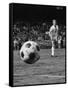 Member of the Chicago Spurs Watching as the Ball Is Coming His Way During the Beginning of the Game-null-Framed Stretched Canvas